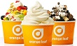 Orange Leaf rewards coupon