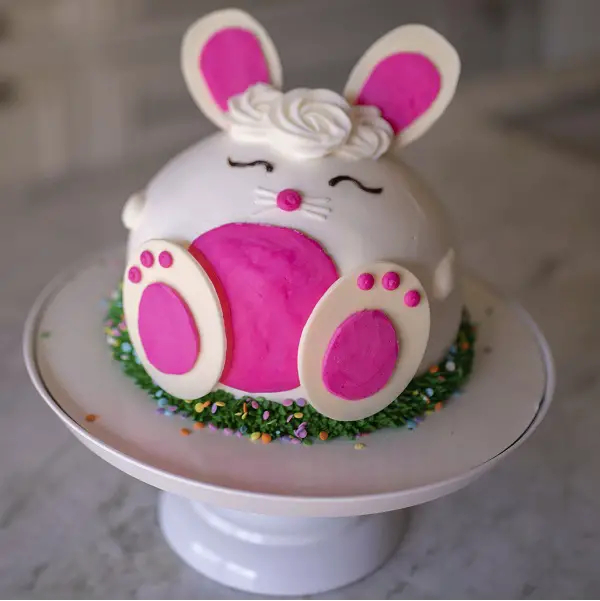 Baskin Robbins Bunny Cake